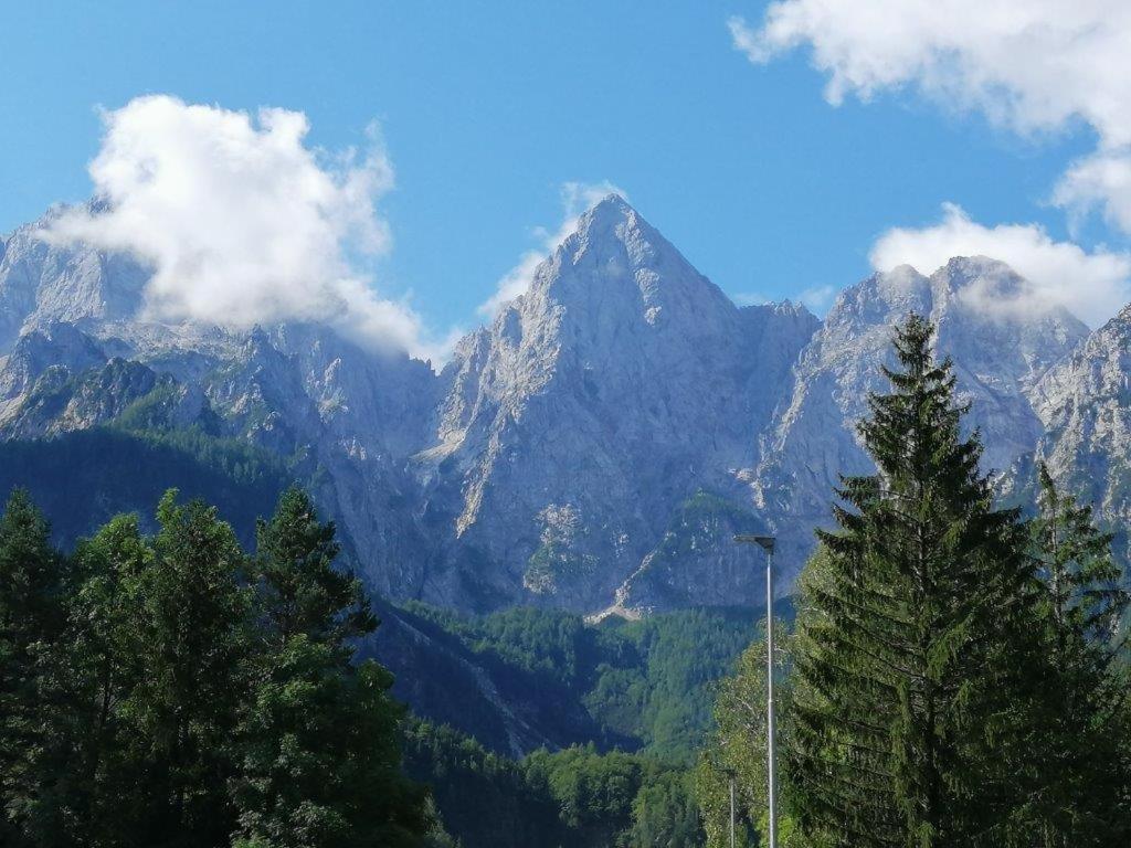 Haus Alexandra Apartment Bled Buitenkant foto